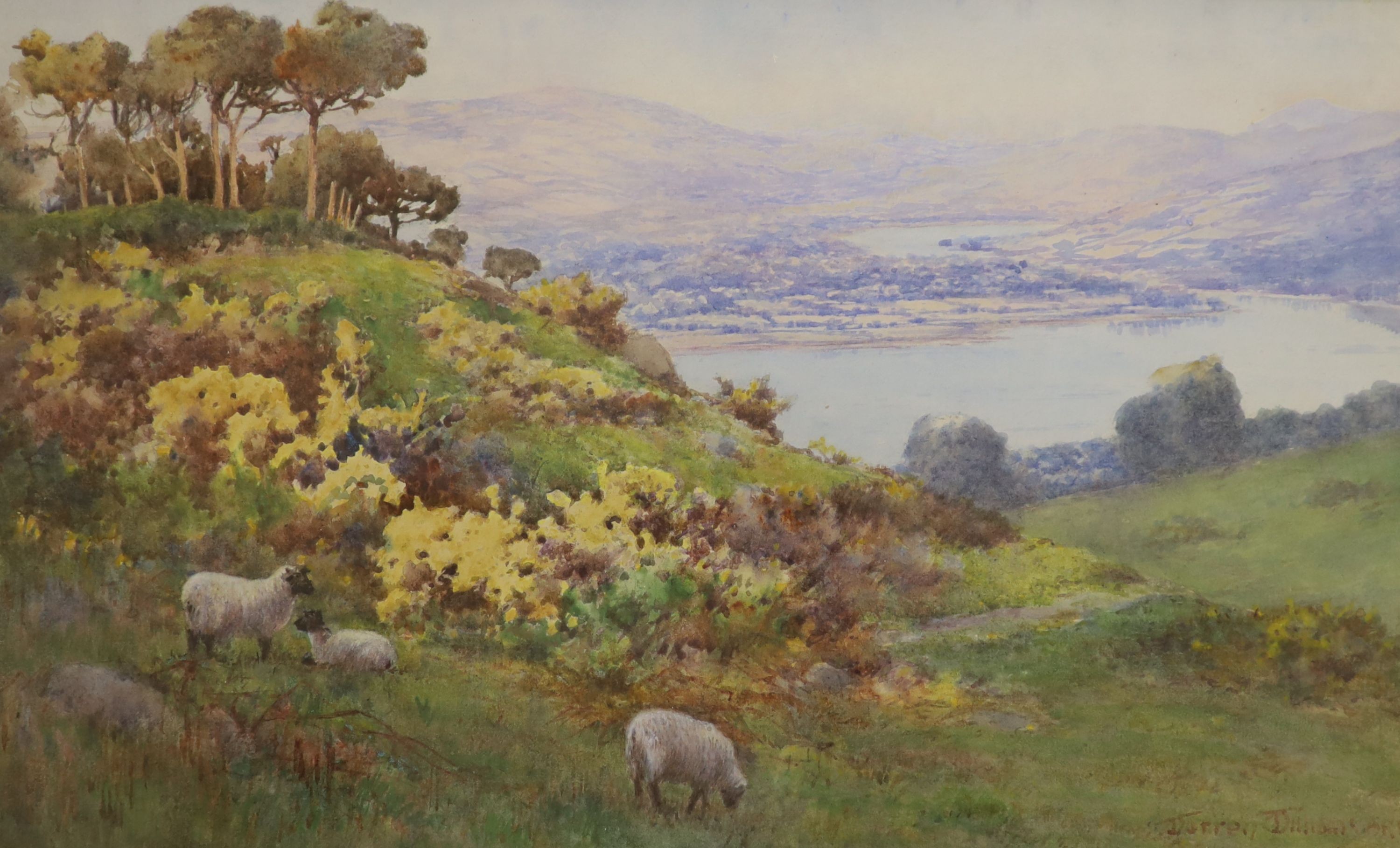 Warren Williams (1863-1941), watercolour, Sheep on a headland overlooking a river landscape, signed, 24 x 39cm